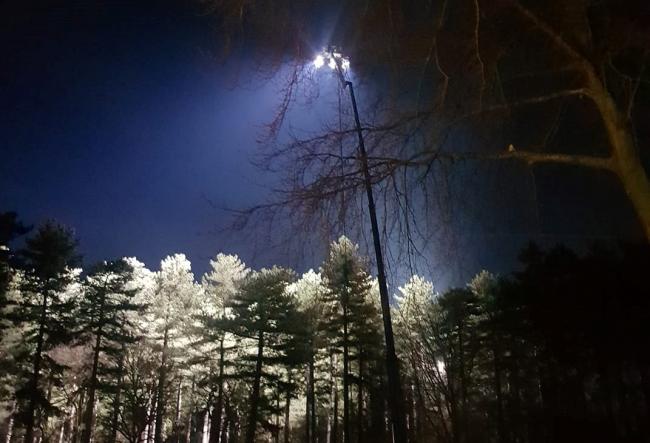 Is science fiction is the cause of mysterious lights seen at night in Delamere Forest?